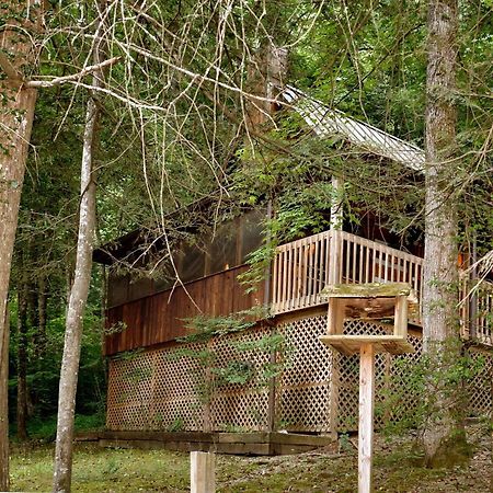 Villa Parkside Party #1676 Gatlinburg Exterior foto